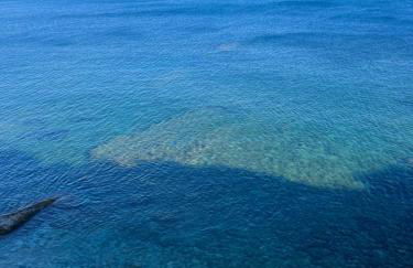 Paradis carry - Foto 15