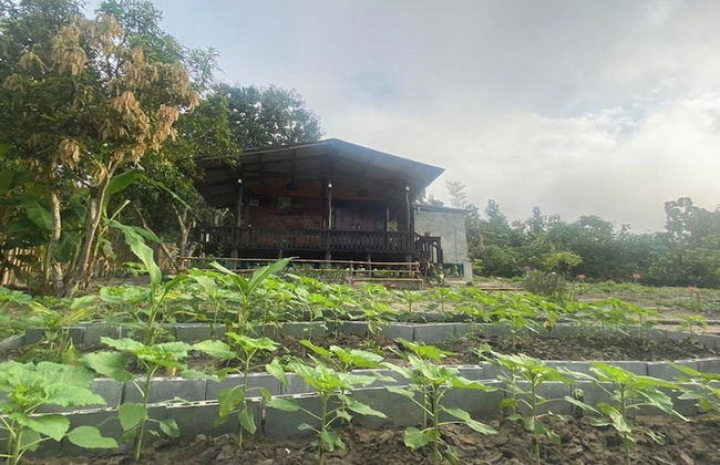 Nokkamin Home Chiang Dao - Photo 32