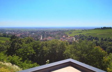 Alsace Panorama - Photo 38