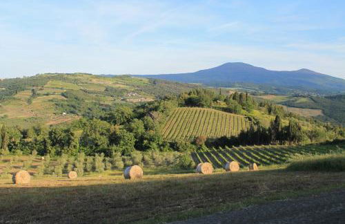 Agriturismo Il Poderuccio - Foto 68