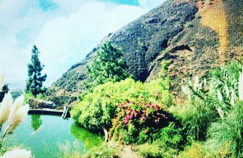 Tenerife Nature Retreat - Foto 11