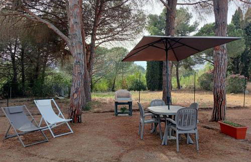 Riccio di Mare - Foto 19