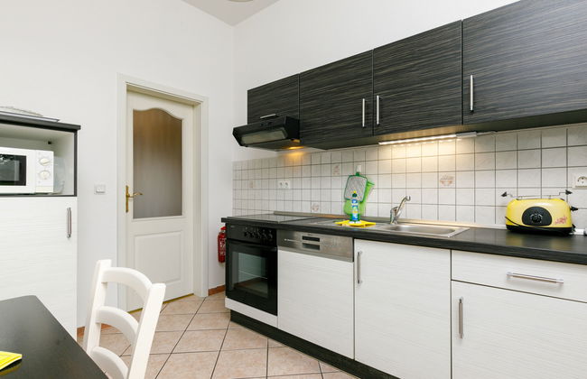 Sonnenblume - Foto 12