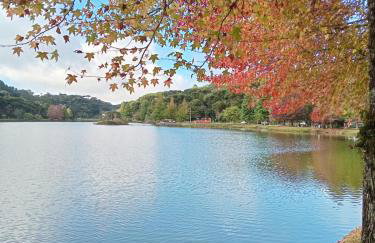 Casa Verde do Lago - Foto 25