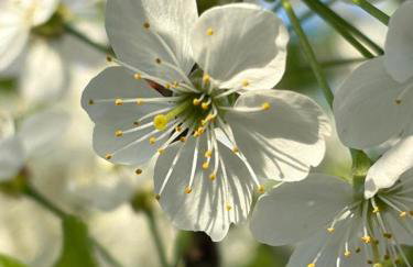 Agroturystyka Traperska Osada - Foto 64