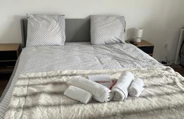 Appartement luxueux Au coeur de lille - Foto 7