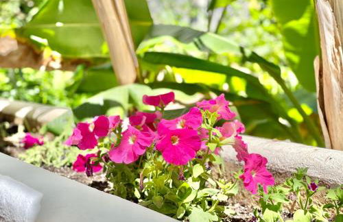 Marbella Real Golden Mile -EaW Homes - Foto 32