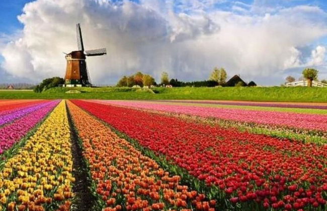 Holiday Apartment Salt and Dunes - Foto 9