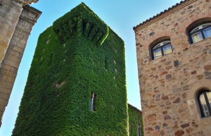 DIANA JARDÍN - Foto 23