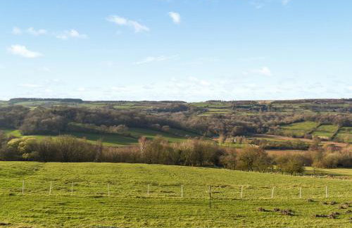 Dandelion Cottage - Foto 21