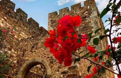 Casa Do Mestre Lau - Foto 26