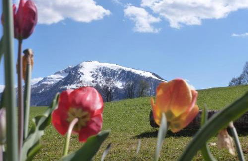 Stoibhof Familie Klauser - Foto 14
