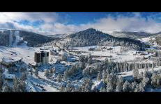 Chez Louis - Foto 22