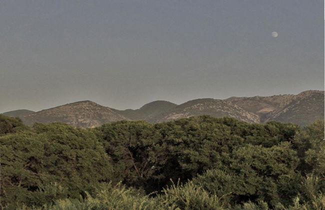 Nireas Resort Corfu - Foto 18