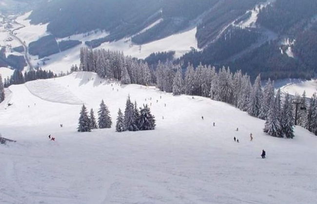 Welcoming Apartment near Forest in Vordenberg - Foto 19