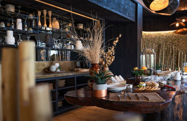 Euphorbia Mashatu - Foto 32