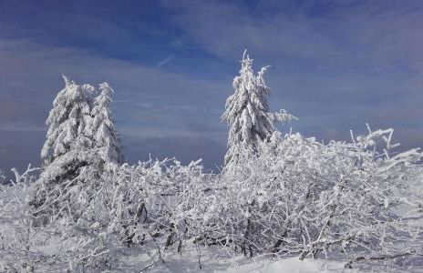 Studio des Musiciens - quartier Orangerie - Foto 30