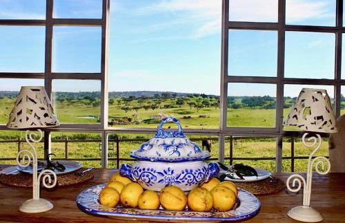 Herdade da Boavista - Foto 15