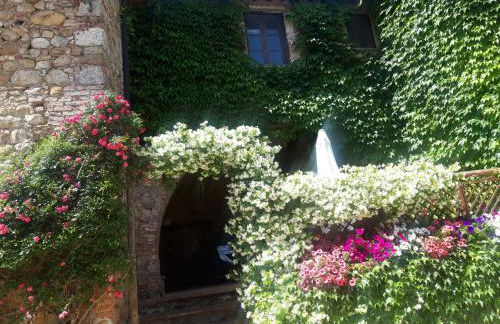 Castellare - Foto 55