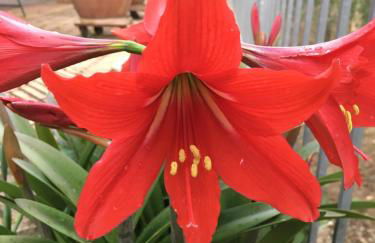 Le Coccole Del Trasimeno - Foto 75