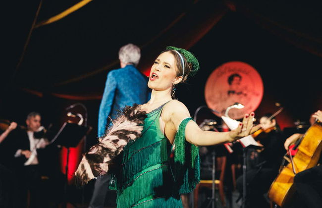 Concert de Strauss avec dîner dans le Prater - Photo 5