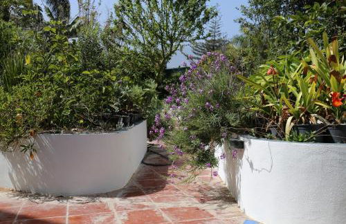 Jungle Paradise - Foto 49