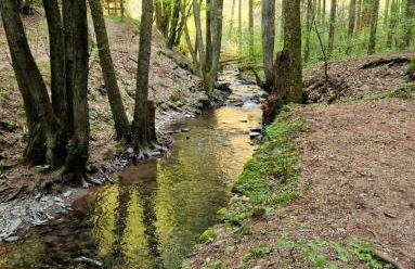 Ferienwohnung Katharina - Foto 34