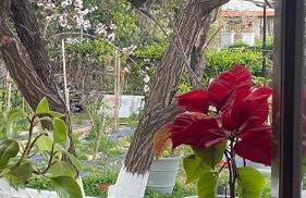 Resort Village - Foto 36