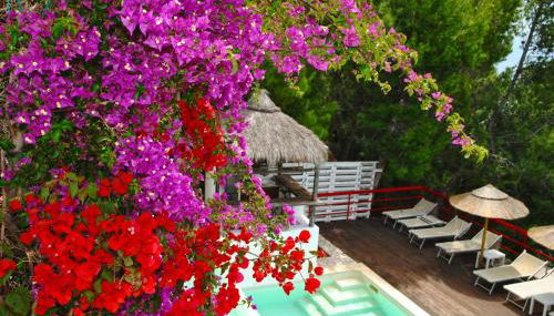 Villa Giulia Resort With Private Pool and Stunning sea Views - Foto 3