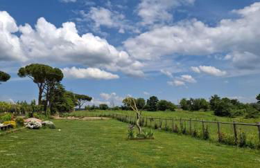 Podere Muracciolo - Foto 23