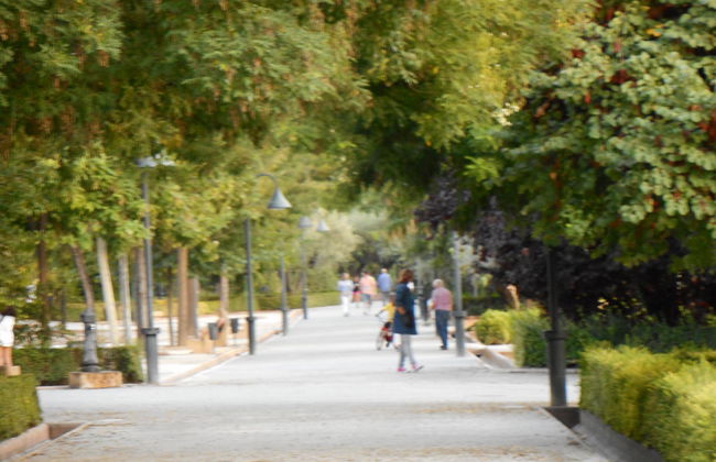 The Martin House - Foto 1