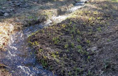 Kanati Falls Ranch - Foto 45