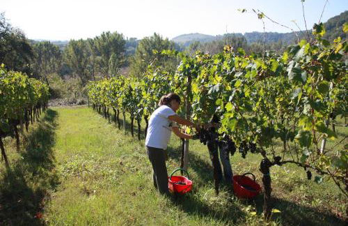 Agriturismo Le Cantine - Foto 36