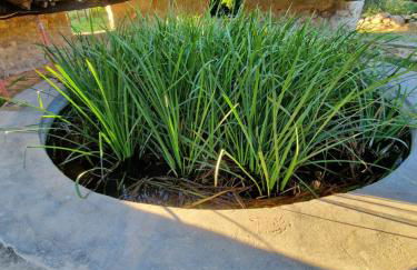 Casa Albañil - Foto 63