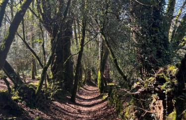 Gîtes du Gohic - Le Cidre - Foto 40
