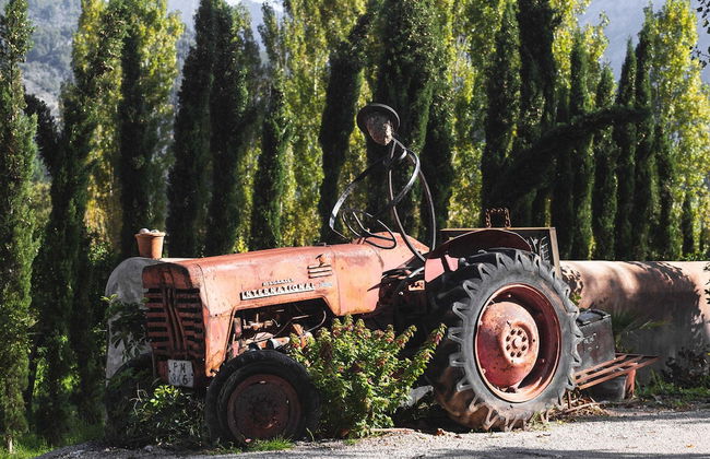 Hotel Finca Ca N'ai - Bio Nature Adults Only - Photo 60