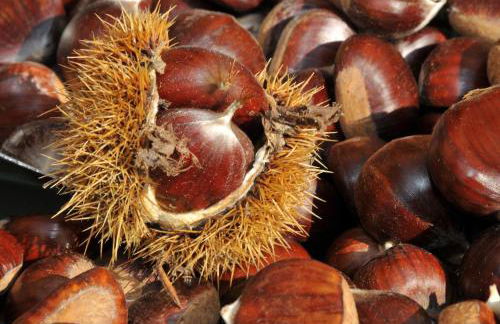 Zur angenehmen Gegend - Foto 28