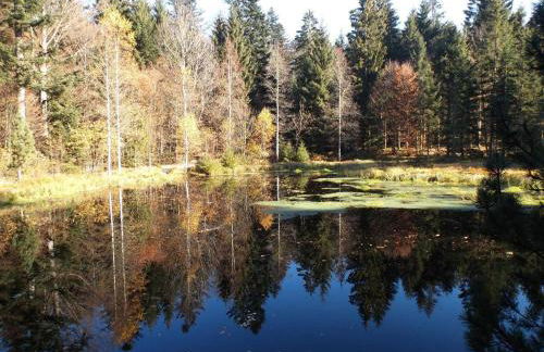 Ferienwohnung Lindenhof - Foto 52