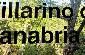 Estrella del alba - Foto 23