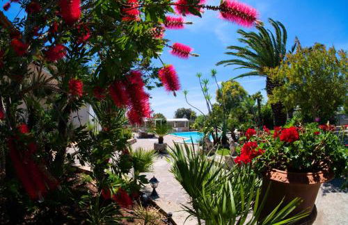 Li Carlucci - Foto 20