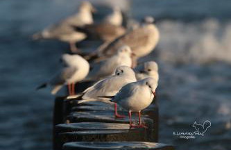 Apartament Słoneczny Air Conditioning - Photo 20