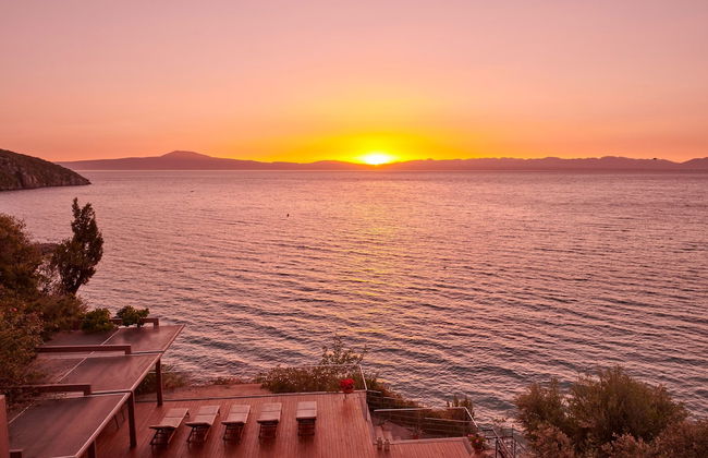 Cape Kitries - Photo 25