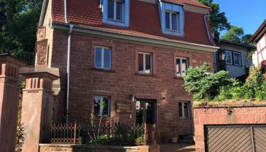 Mauersegler - Foto 2