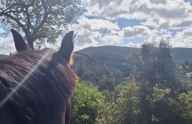 Tiny House Loulé Algarve no1 - Foto 21
