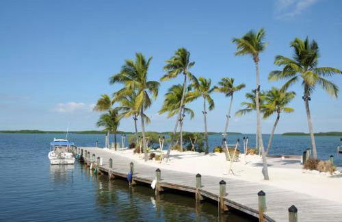 Damari Soto - Foto 23