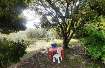 CA DU STEA - Foto 14