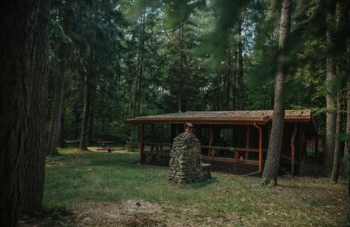 Forest Cabin - 50min od Warszawy - Foto 27