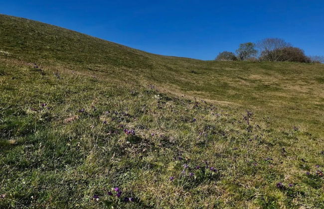 6 Person Holiday Home in Bastad-by Traum - Foto 17