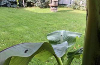 Holiday Home mit Garten- Grill und Terrasse by Interhome - Foto 10