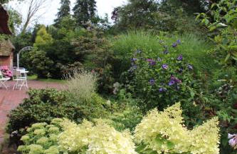 Reetdachhaus direkt am Wasser - Foto 34